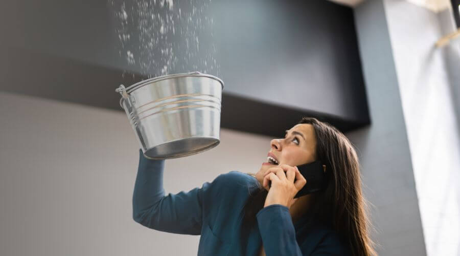 Why choose Black Mold Removal Lady Lake for black mold removal in Lady Lake